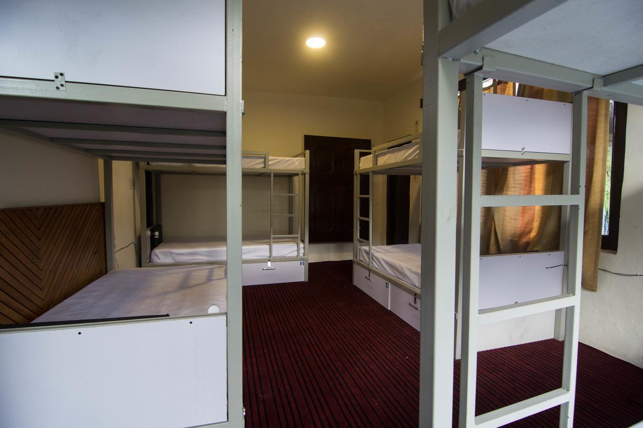 แบคแพคเกอร์ แพนด้า มานาลี Hostel มะนาลี ภายนอก รูปภาพ